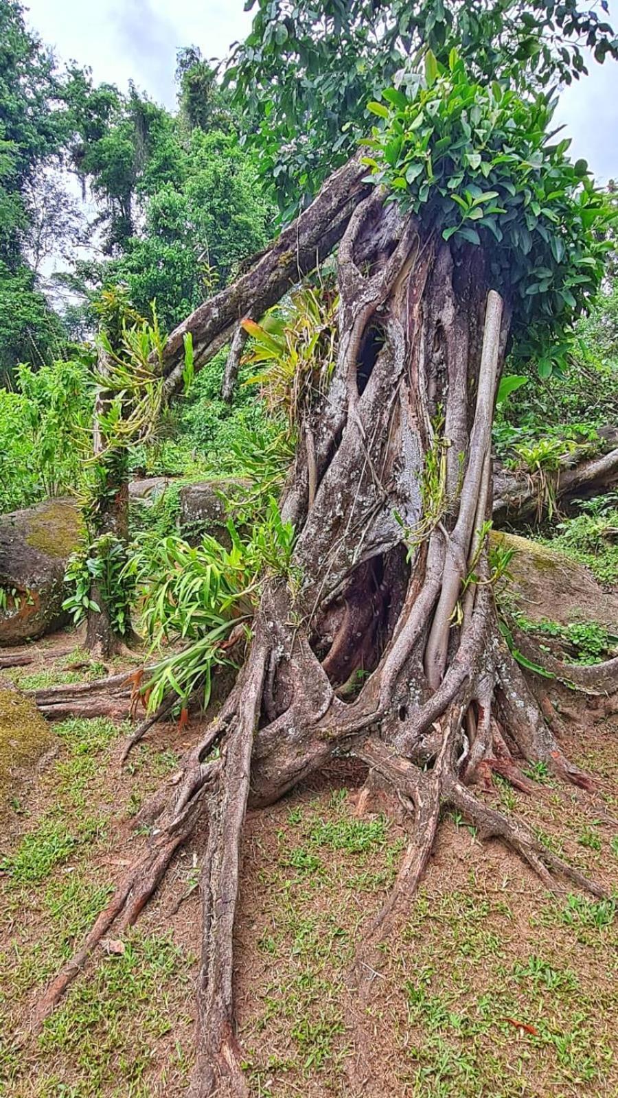 Recanto Da Margo 1, Casa Com Acesso A Cachoeira Parati Exterior foto